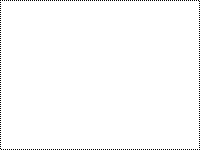 Image 400x300area.png