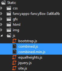 JavaScript files